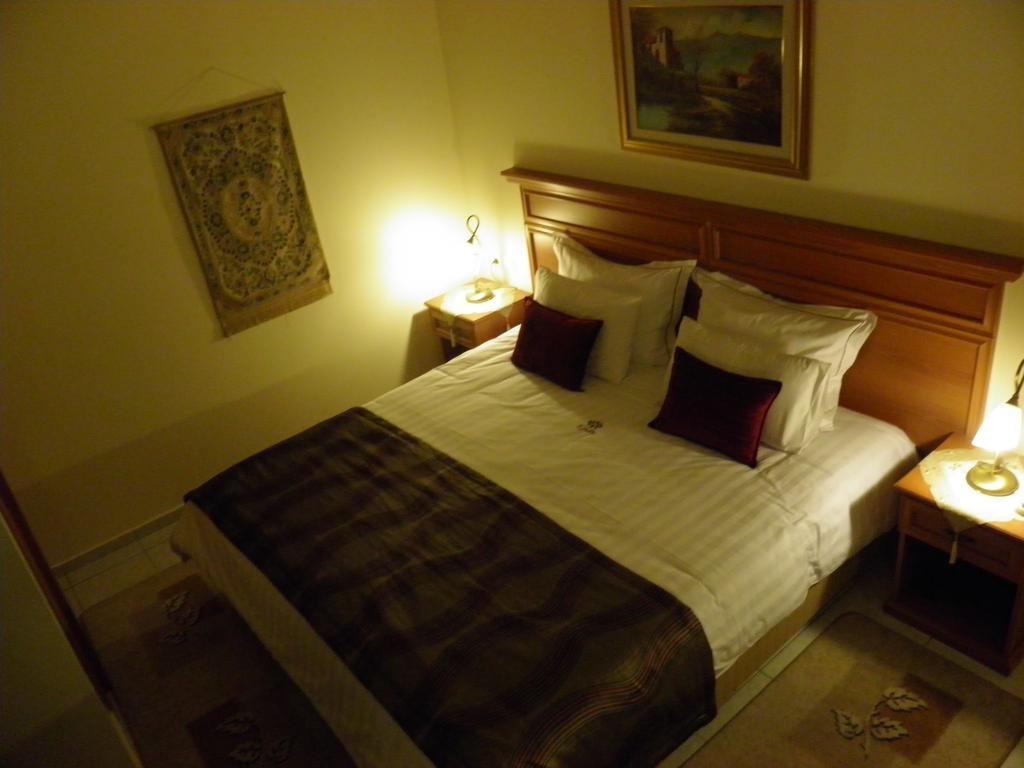 Egnatia Hotel Ioannina Kamer foto